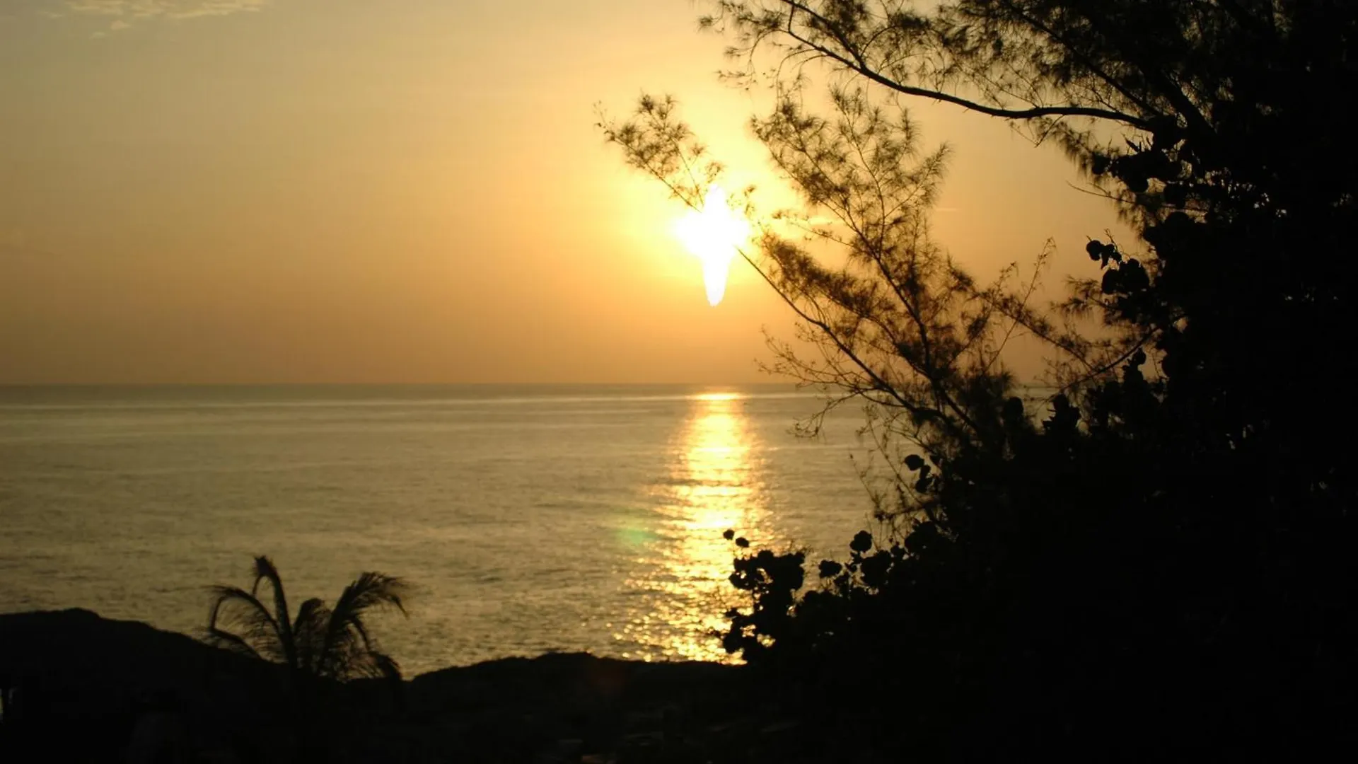 Catcha Falling Star Negril Jamaica