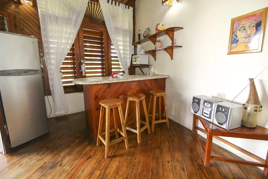 Catcha Falling Star Negril