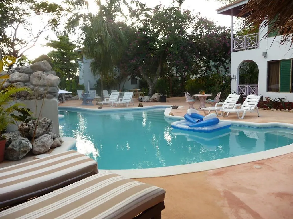 Catcha Falling Star Negril Jamaica